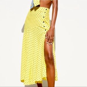 Zara polka dot skirt